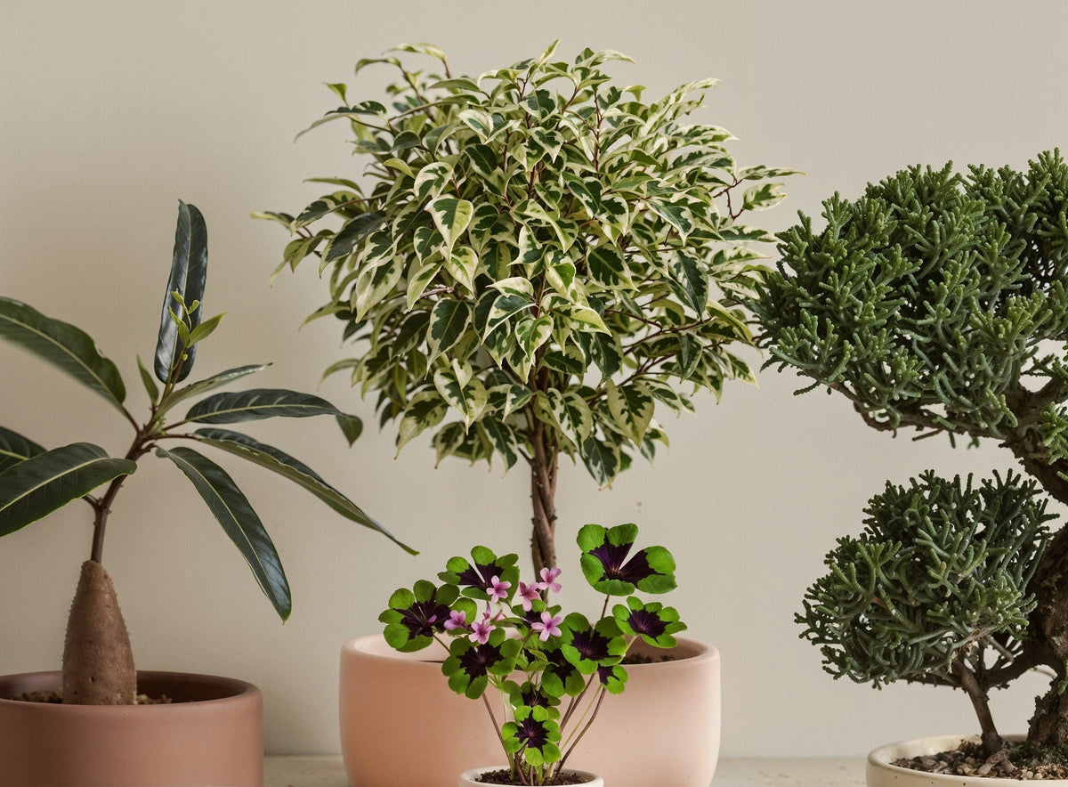 Indoor Plant Styling Tips from Interior Designers