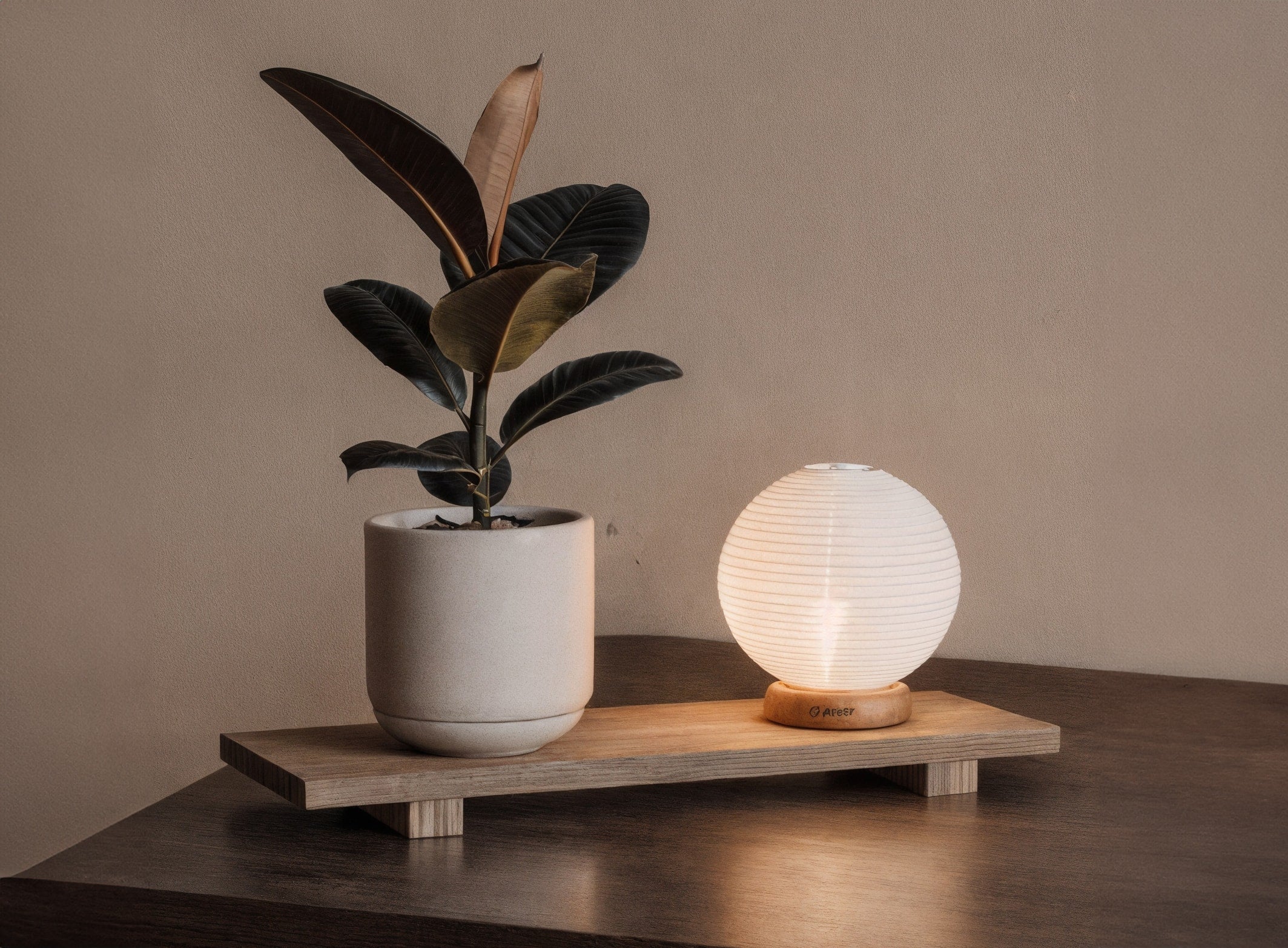 The Best Hanging Planters for Small Apartments